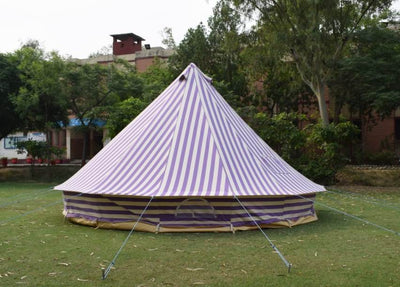 Canvas Bell tent Purple 4 Meter 4M  Ultimate ZIG